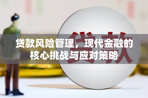 安康贷款风险管理，现代金融的核心挑战与应对策略