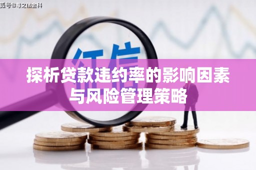 安康探析贷款违约率的影响因素与风险管理策略