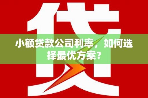安康小额贷款公司利率，如何选择最优方案？