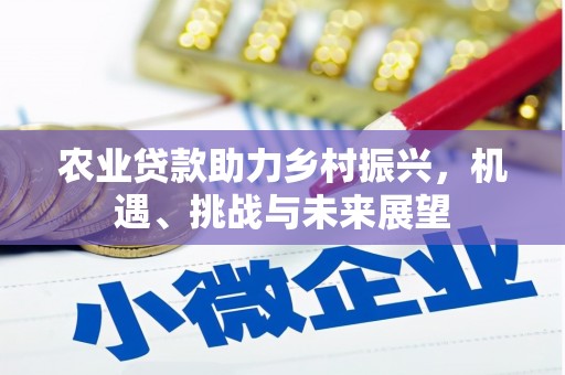 安康农业贷款助力乡村振兴，机遇、挑战与未来展望