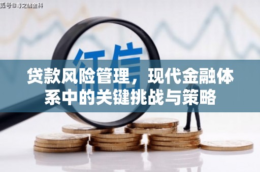 安康贷款风险管理，现代金融体系中的关键挑战与策略