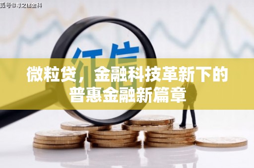 安康微粒贷，金融科技革新下的普惠金融新篇章