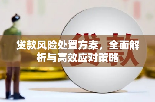 安康贷款风险处置方案，全面解析与高效应对策略