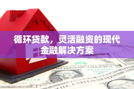 安康循环贷款，灵活融资的现代金融解决方案