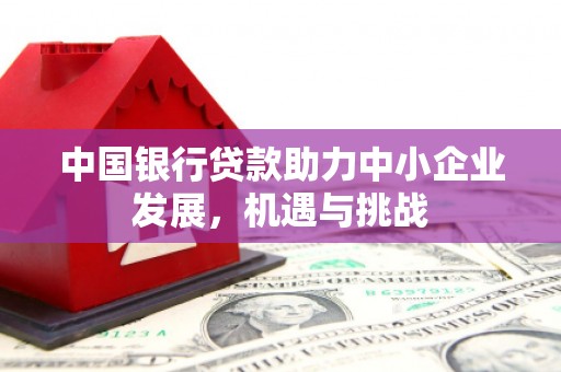 安康中国银行贷款助力中小企业发展，机遇与挑战