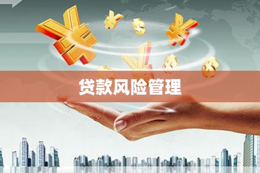 安康贷款风险管理