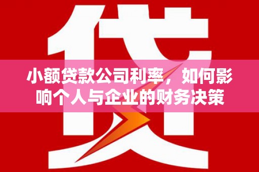 安康小额贷款公司利率，如何影响个人与企业的财务决策