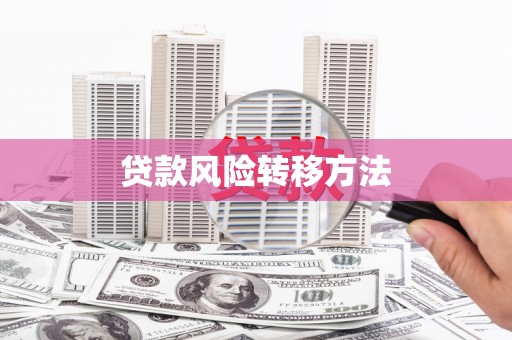 安康贷款风险转移方法