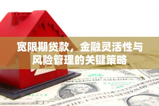 安康宽限期贷款，金融灵活性与风险管理的关键策略