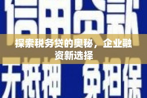 安康探索税务贷的奥秘，企业融资新选择