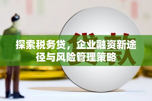 安康探索税务贷，企业融资新途径与风险管理策略