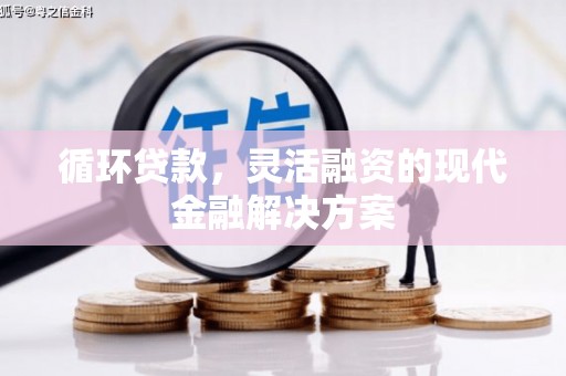 安康循环贷款，灵活融资的现代金融解决方案