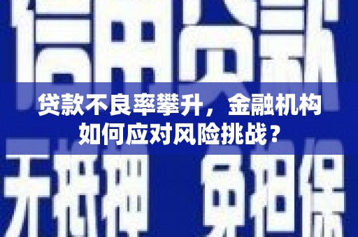 安康贷款不良率攀升，金融机构如何应对风险挑战？