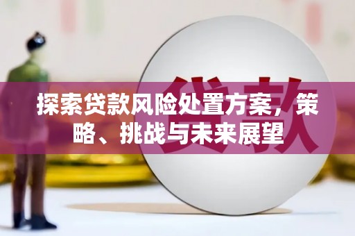 安康探索贷款风险处置方案，策略、挑战与未来展望