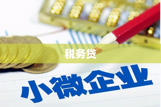 安康税务贷