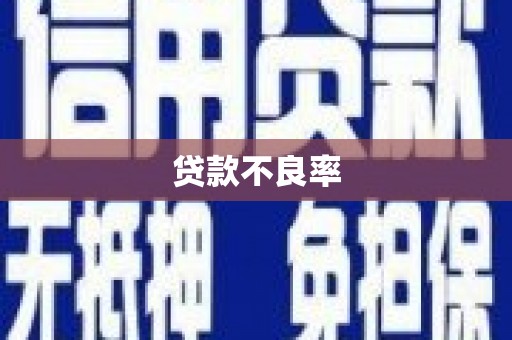 安康贷款不良率