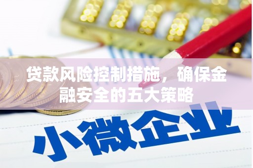 安康贷款风险控制措施，确保金融安全的五大策略