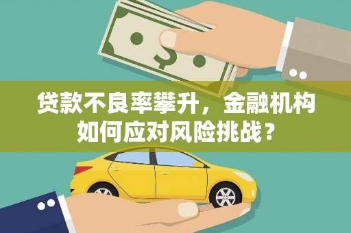 安康贷款不良率攀升，金融机构如何应对风险挑战？