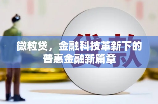 安康微粒贷，金融科技革新下的普惠金融新篇章