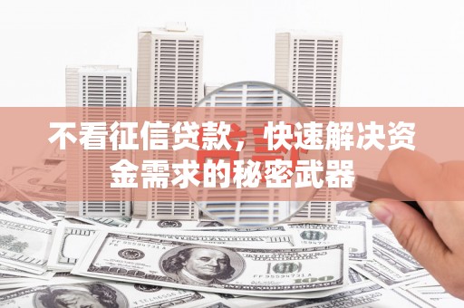 安康不看征信贷款，快速解决资金需求的秘密武器