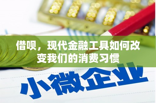 安康借呗，现代金融工具如何改变我们的消费习惯