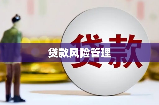 安康贷款风险管理