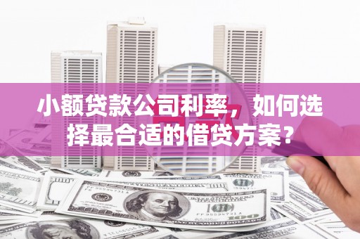 安康小额贷款公司利率，如何选择最合适的借贷方案？