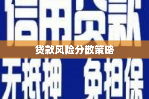安康贷款风险分散策略