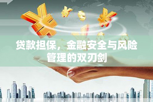 安康贷款担保，金融安全与风险管理的双刃剑