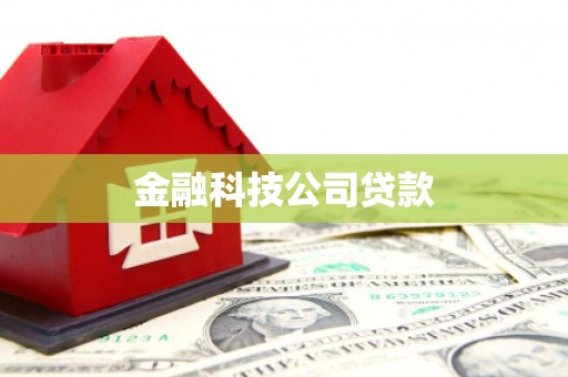 安康金融科技公司贷款
