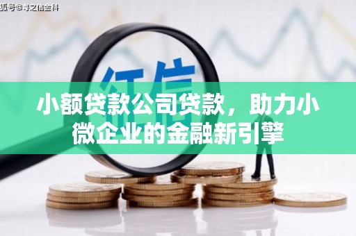 安康小额贷款公司贷款，助力小微企业的金融新引擎