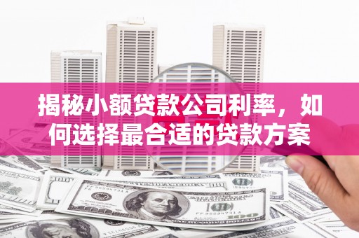 安康揭秘小额贷款公司利率，如何选择最合适的贷款方案
