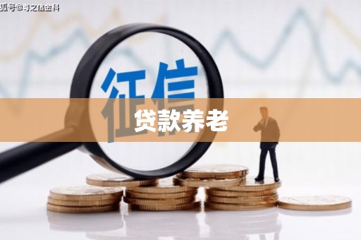 安康贷款养老