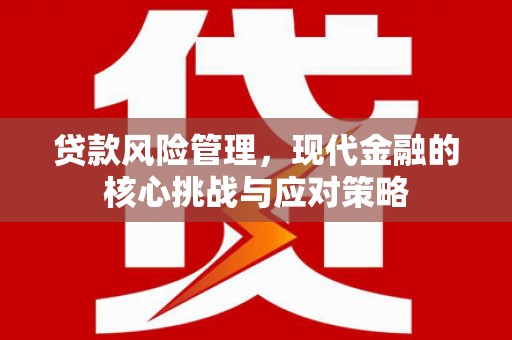 安康贷款风险管理，现代金融的核心挑战与应对策略