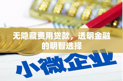 安康无隐藏费用贷款，透明金融的明智选择