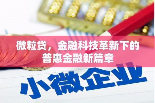 安康微粒贷，金融科技革新下的普惠金融新篇章