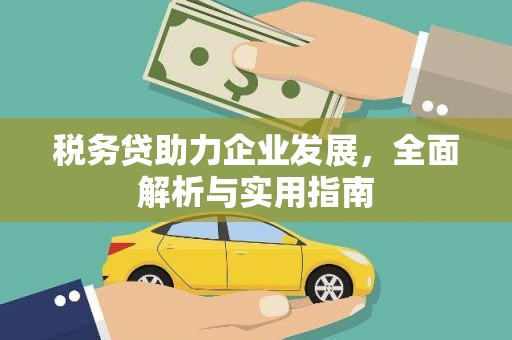 安康税务贷助力企业发展，全面解析与实用指南