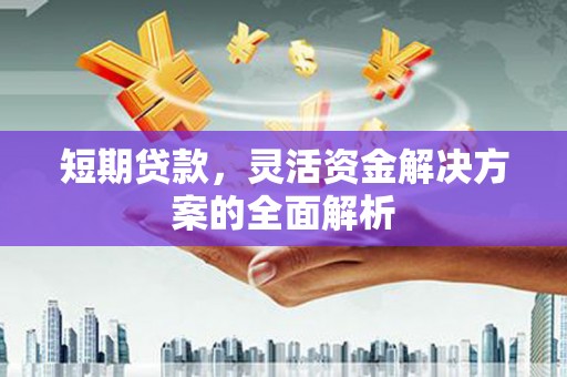 安康短期贷款，灵活资金解决方案的全面解析