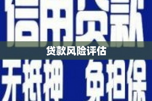 安康贷款风险评估