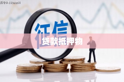 安康贷款抵押物
