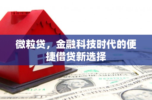安康微粒贷，金融科技时代的便捷借贷新选择