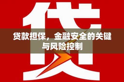 安康贷款担保，金融安全的关键与风险控制