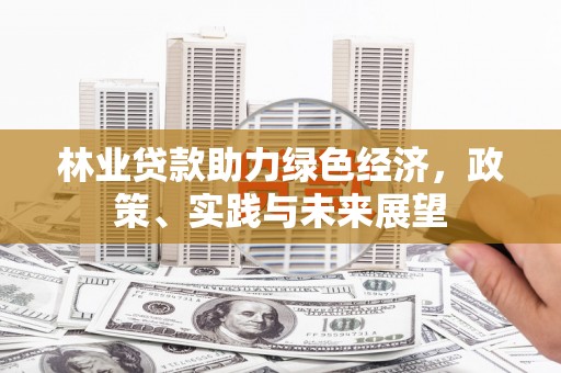 安康林业贷款助力绿色经济，政策、实践与未来展望