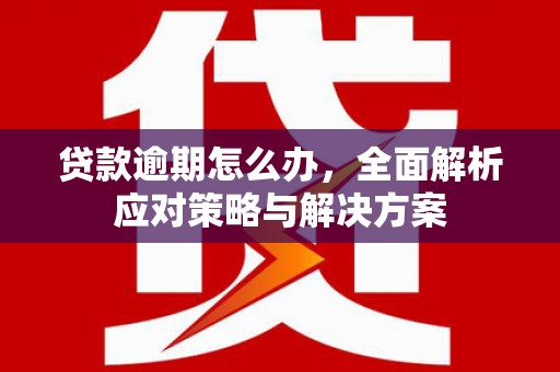 安康贷款逾期怎么办，全面解析应对策略与解决方案