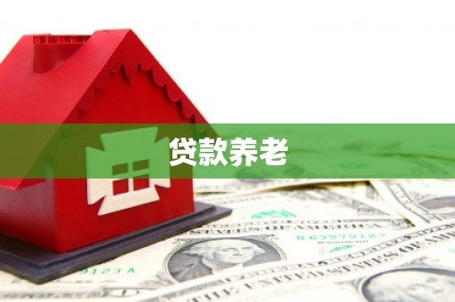 安康贷款养老
