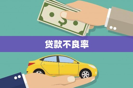 安康贷款不良率