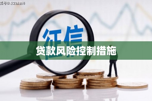 安康贷款风险控制措施