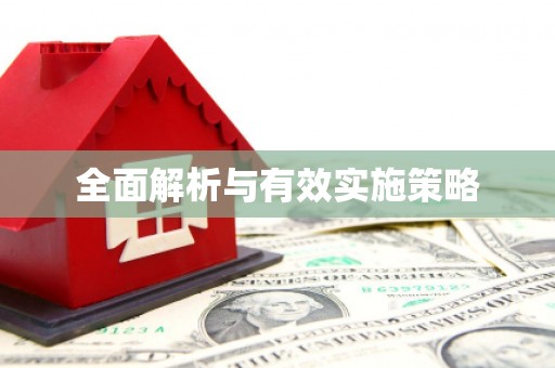 安康全面解析与有效实施策略