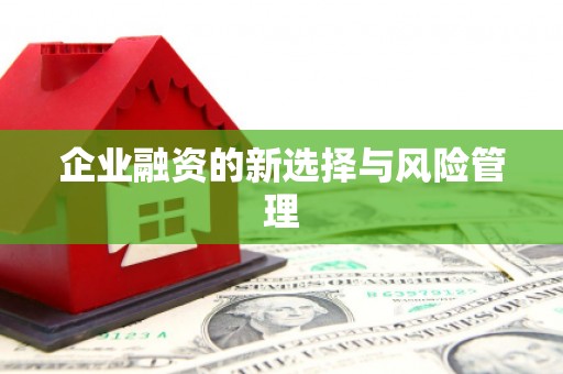 安康企业融资的新选择与风险管理