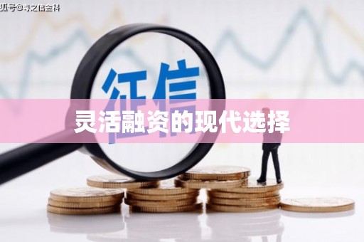 安康灵活融资的现代选择